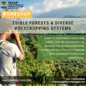Edible forests and polycropping workshop in Guatemala